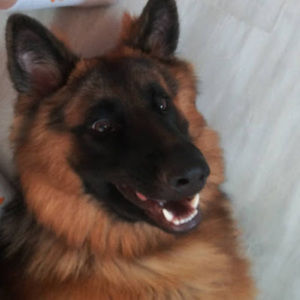 Meet your Posher, Eva